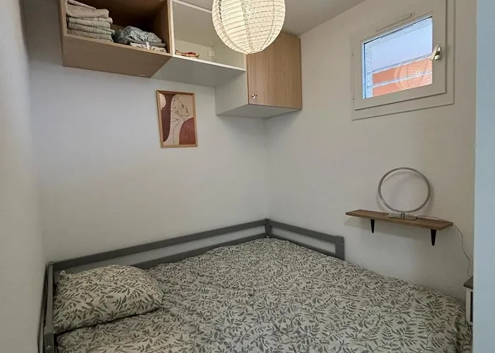 T2 Palm Le Barcarès